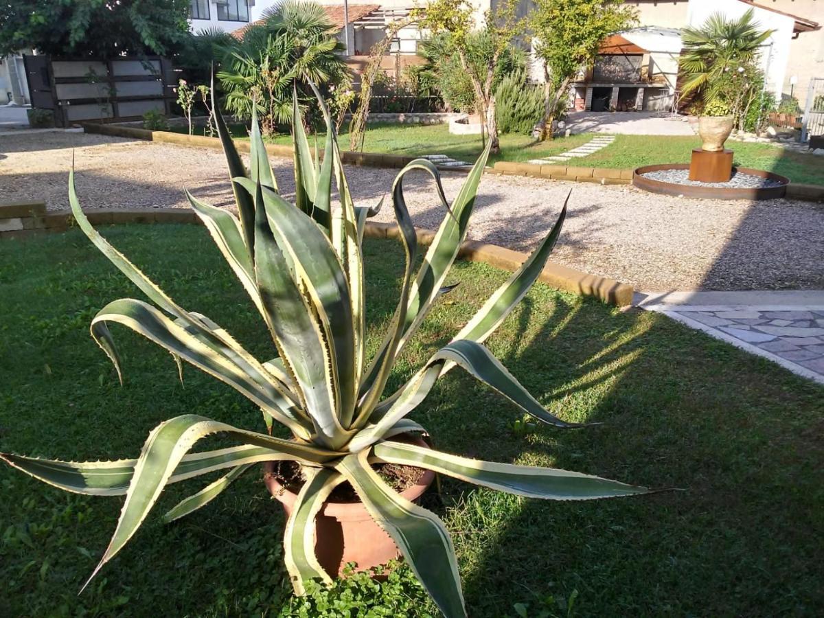 Ca Romi Villa Volta Mantovana Dış mekan fotoğraf